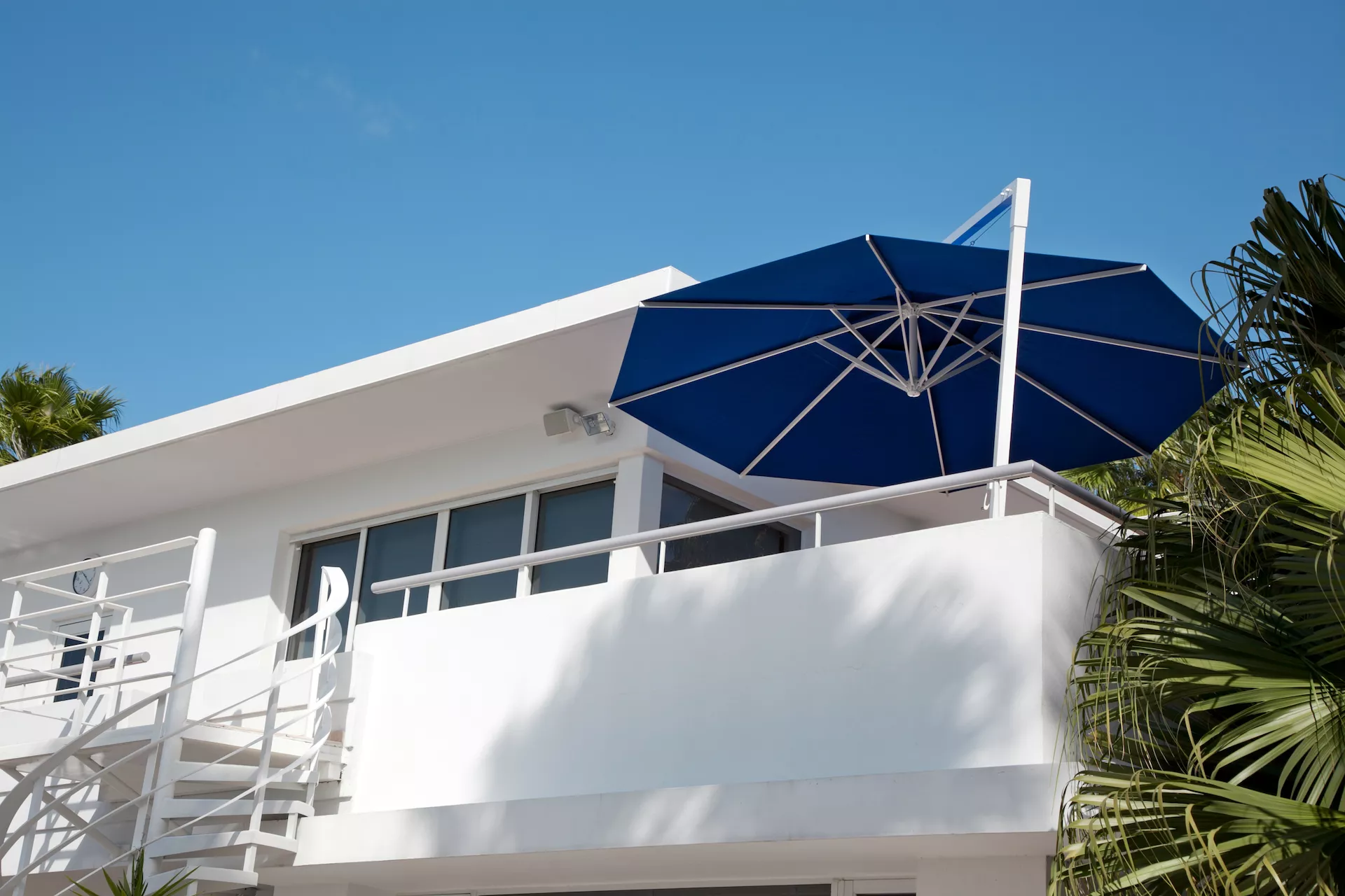 parasol1